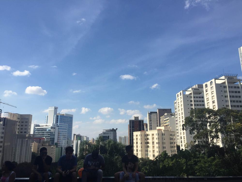 Outlook of the skyline in Sao Paulo, Brazil