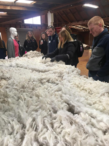 Students examining wool with Kate Cocks