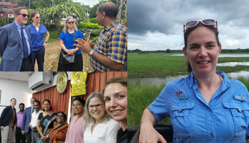 Right: Dr. Low in Minneriya National Park, Sri Lanka with wild elephants; with economists and researchers in Sri Lanka along with the rest of the ACES delegation.  