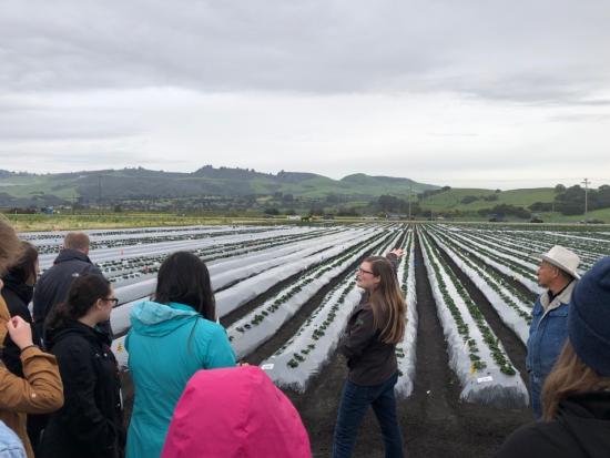 Amy Edmundson and Augustine Renteria speaking about strawberry farming.