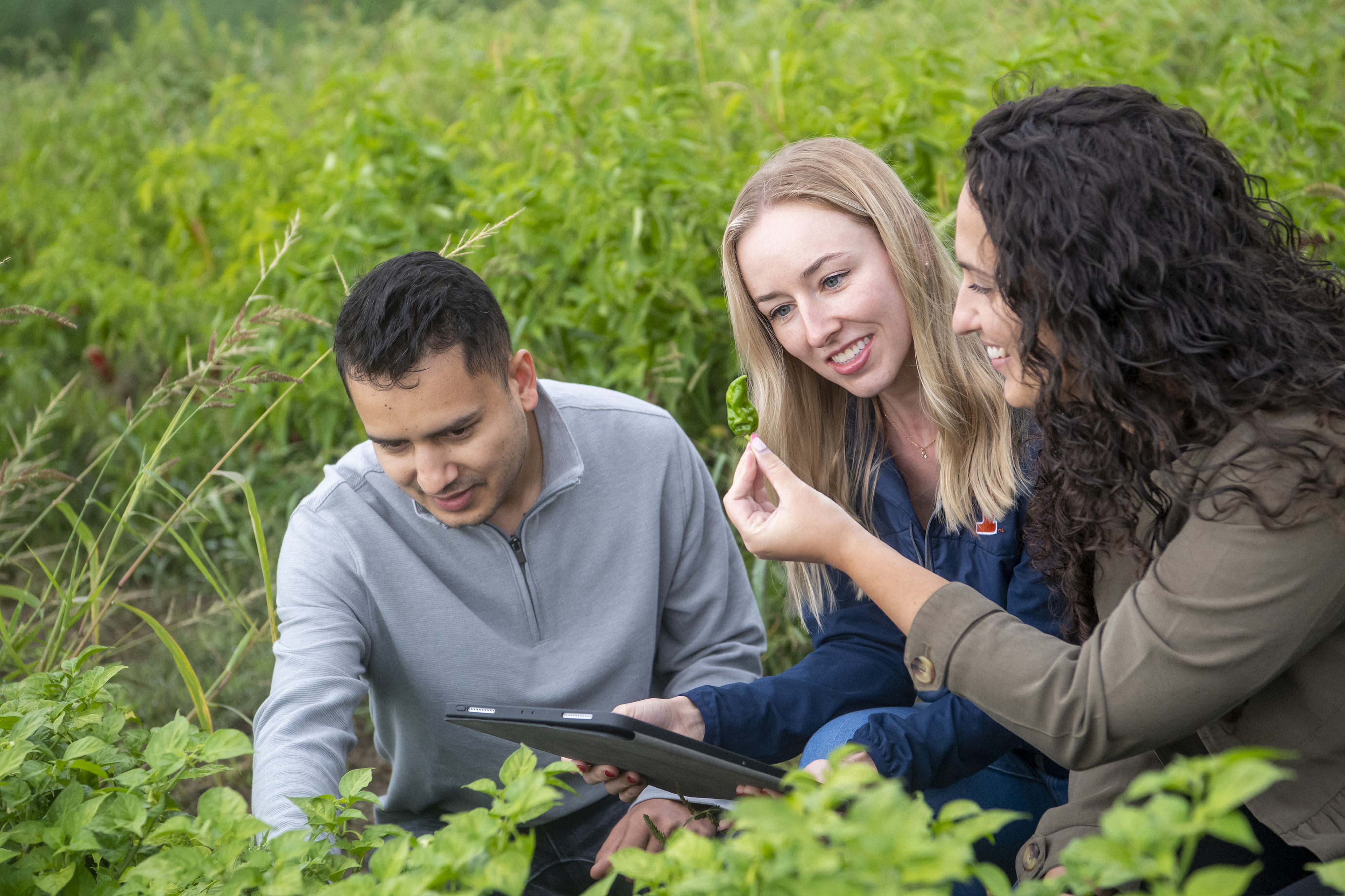 Students speaking with a professor in a field