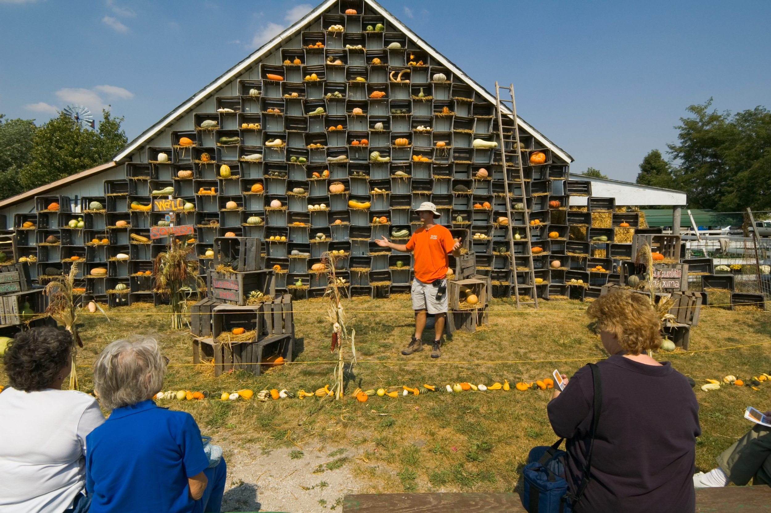 Person in a pumpkin patch presenting to group. 