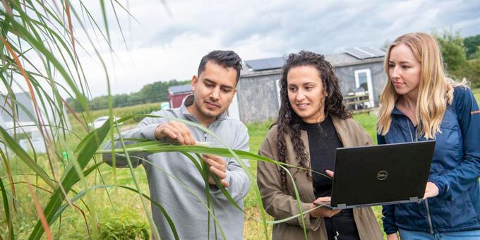 Students examining a blade of grass