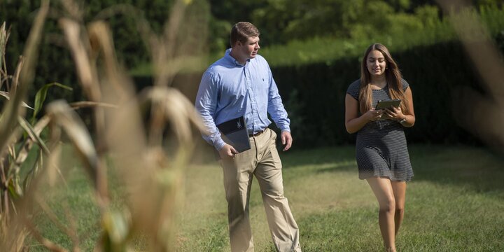 Two students walking by a corn field