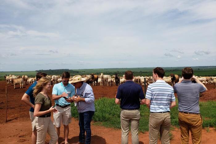 Agropecuaria Jacintho Ranch, a large livestock farm near Naviraí in the state of Mato Grosso do Sul.