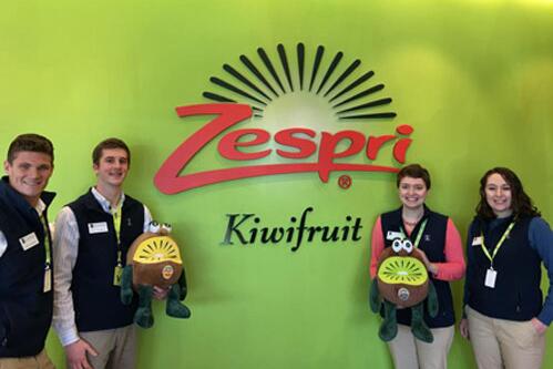 Zespri’s International Headquarters